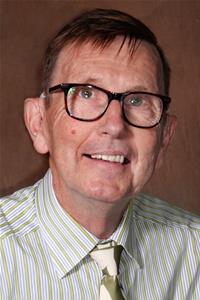 Profile image for Councillor P Stead-Davis
